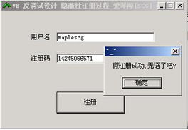 VB共享软件防破解设计技术初探与制作指南
